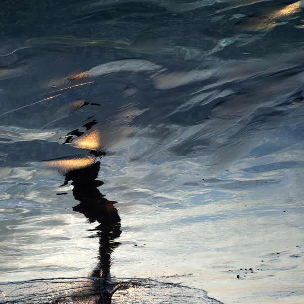 Shadows in the storm